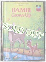 画像: ディズニー絵本：BAMBI -1979